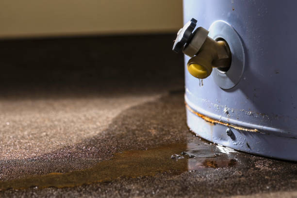Best Water damage restoration insurance claims  in Hartshorne, OK