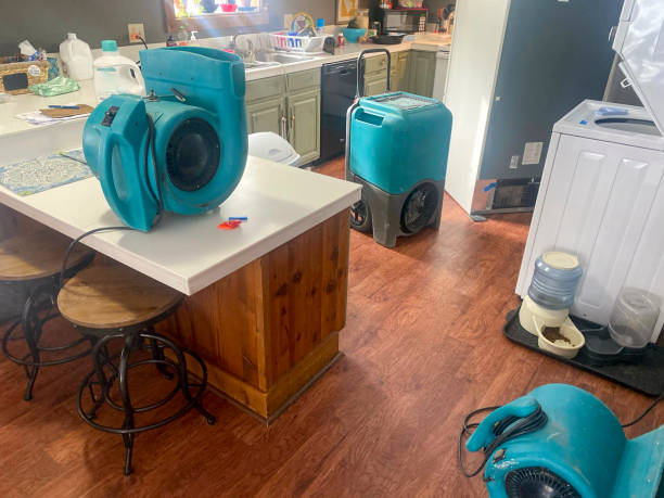 Best Carpet water damage restoration  in Hartshorne, OK