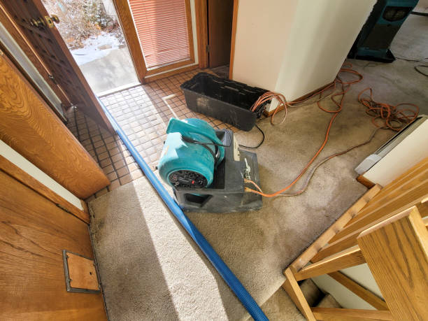 Best Professional water damage repair  in Hartshorne, OK