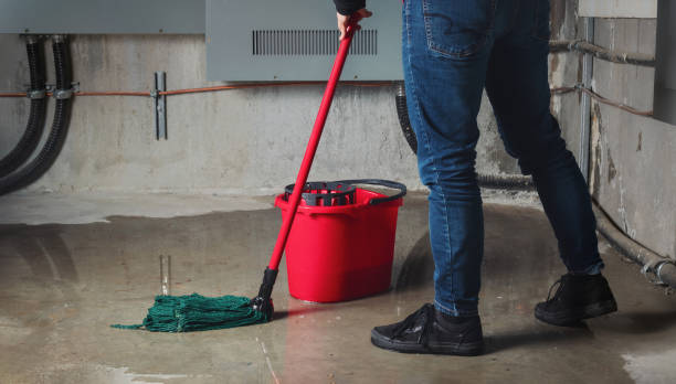 Best Water damage repair service  in Hartshorne, OK