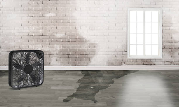 Best Sewage cleanup and water damage restoration  in Hartshorne, OK