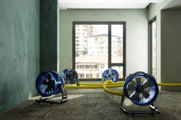 Best Ceiling water damage repair  in Hartshorne, OK